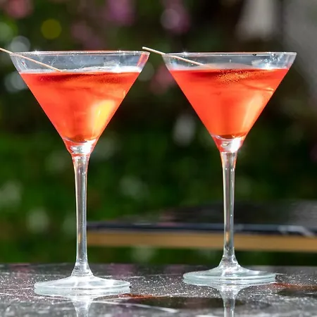 尼斯圣乔治酒店 酒店